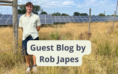 Two Deer Here, None Over There: A Visit to Berwick Solar Farm